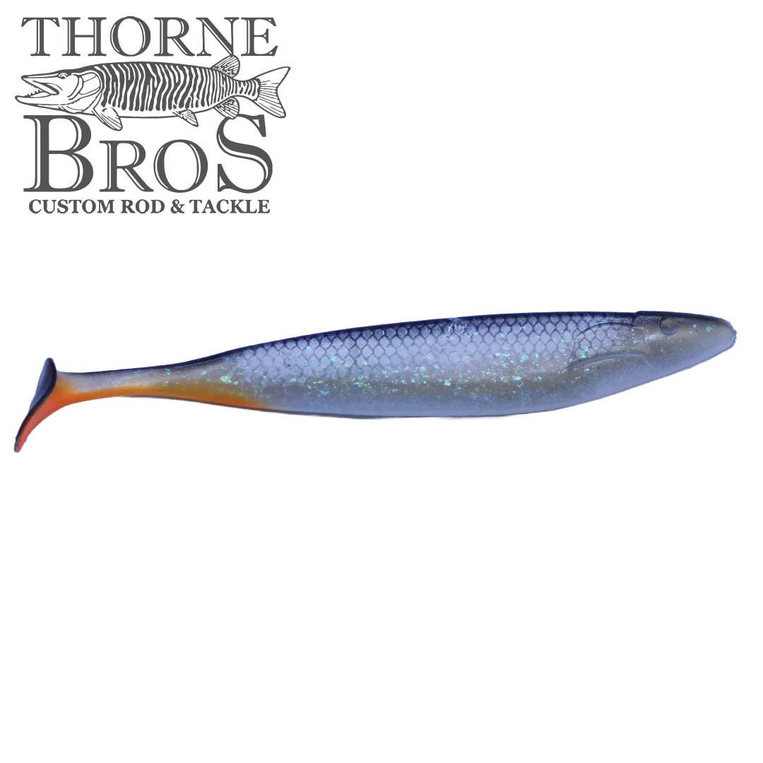 Action Plastics 15" Shad - TB Custom - Image 12