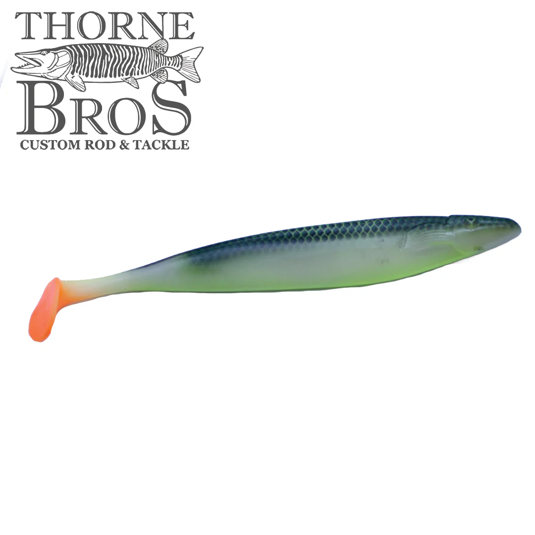Action Plastics 15" Shad - TB Custom - Image 7