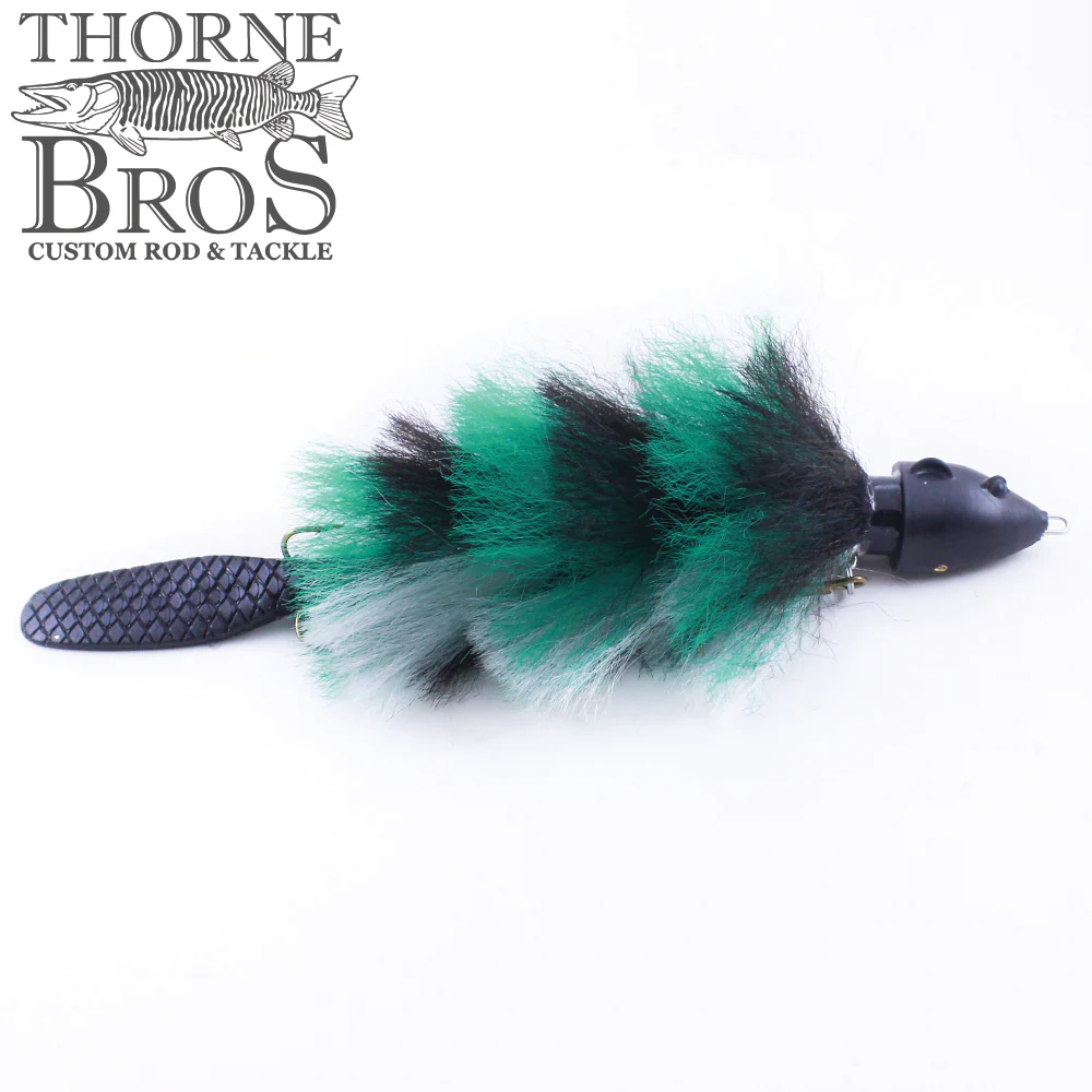 Baby Beaver XL - Image 15