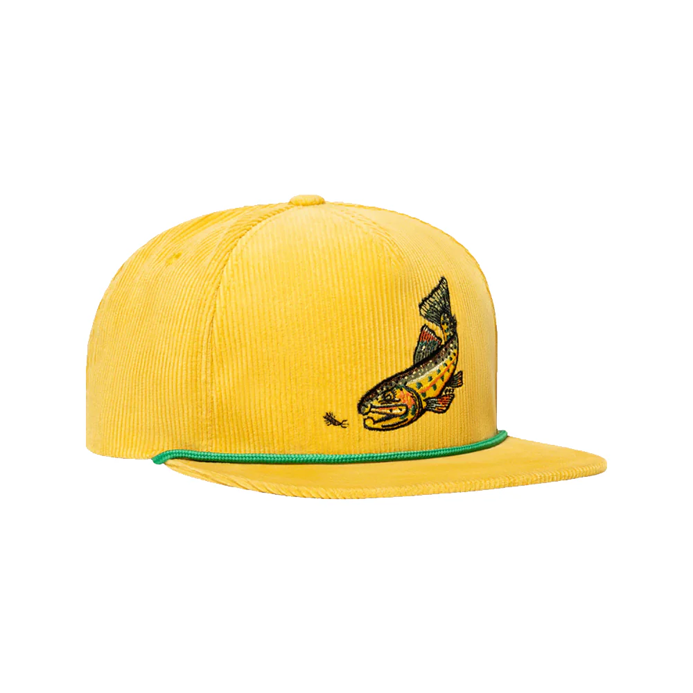 Bajio - Hats - Image 5