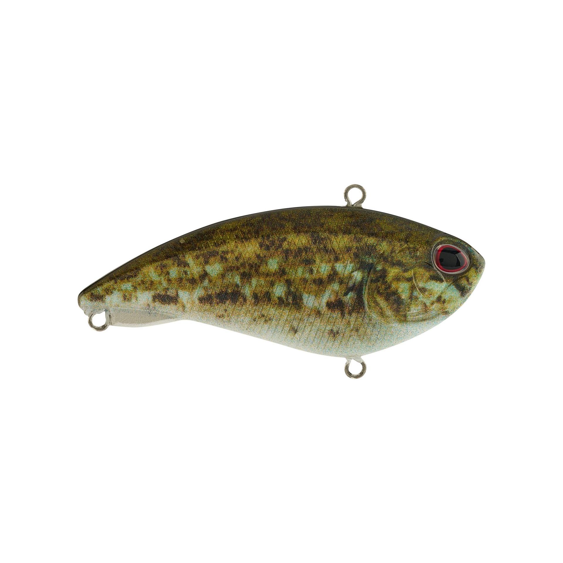 Berkley Jack - Image 6