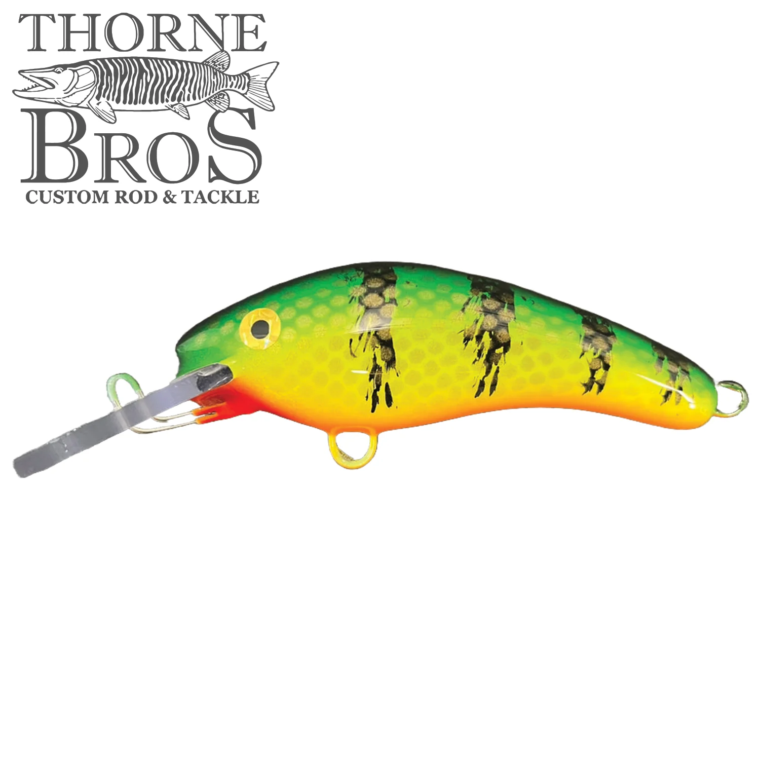 Blue Water Baits 5" K.O. Shad - Image 3