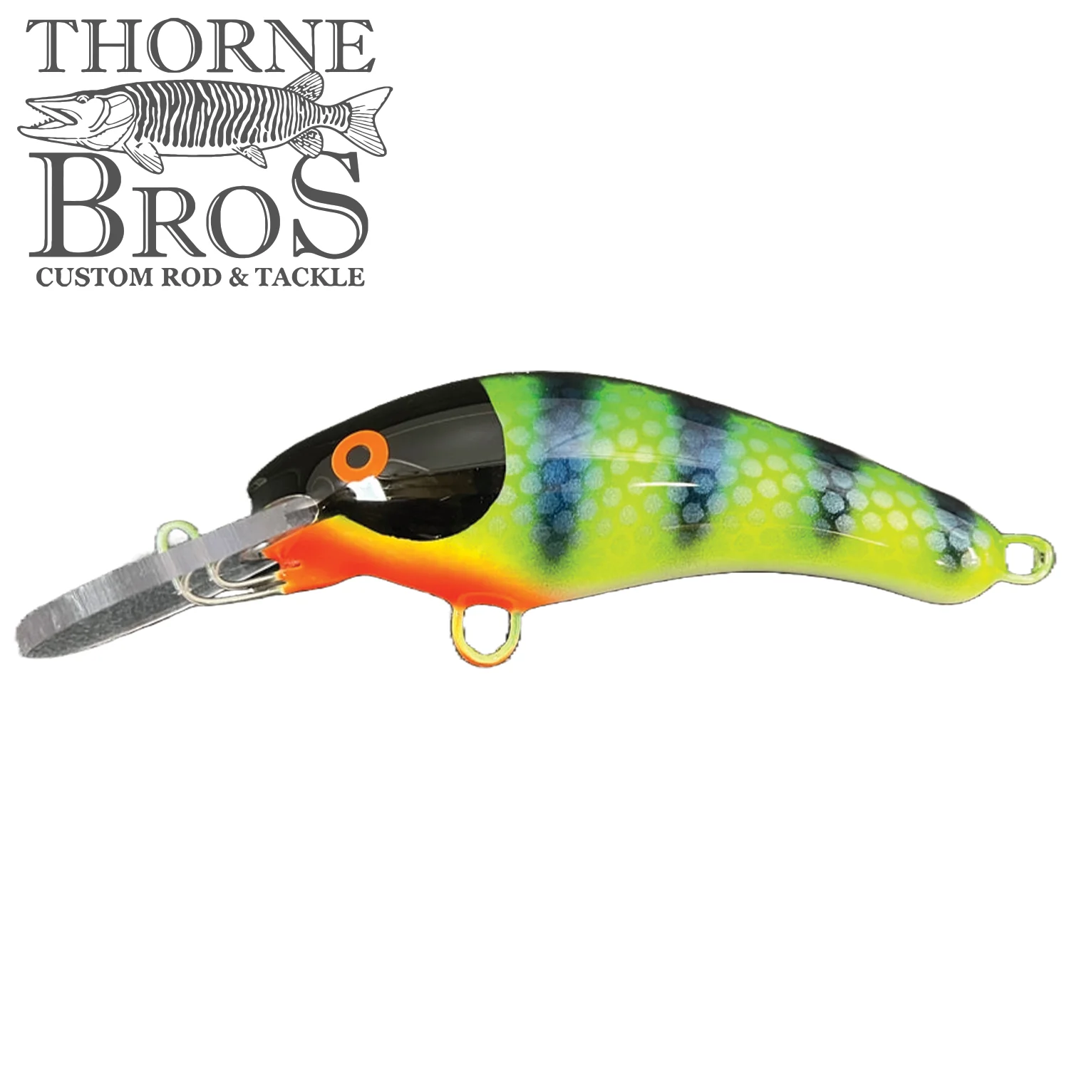 Blue Water Baits 5" K.O. Shad - Image 5