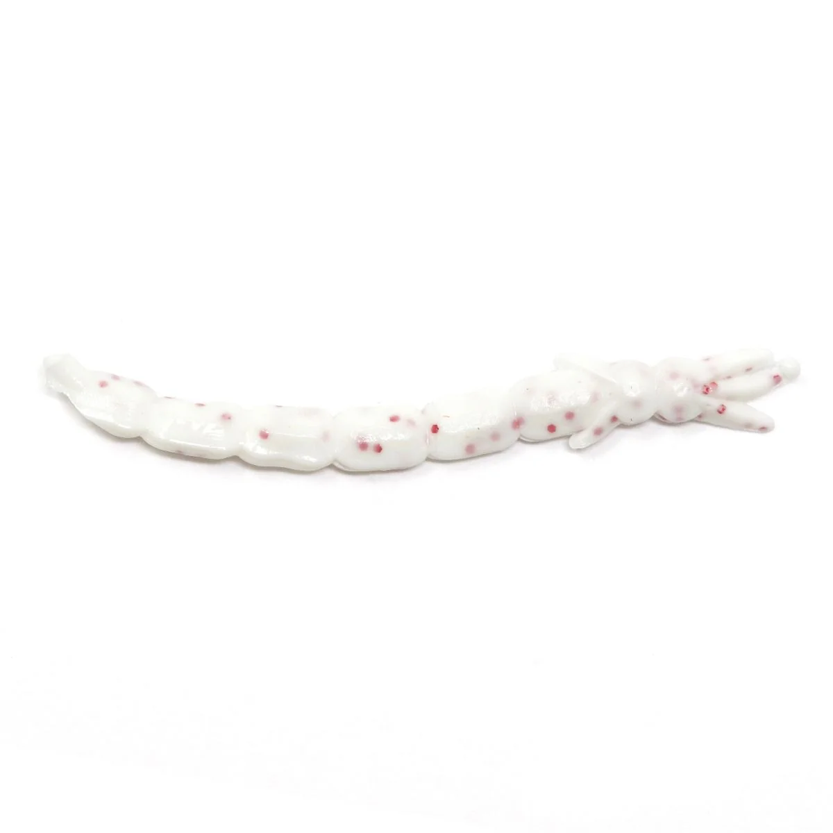 Clam Bloodi - Image 8