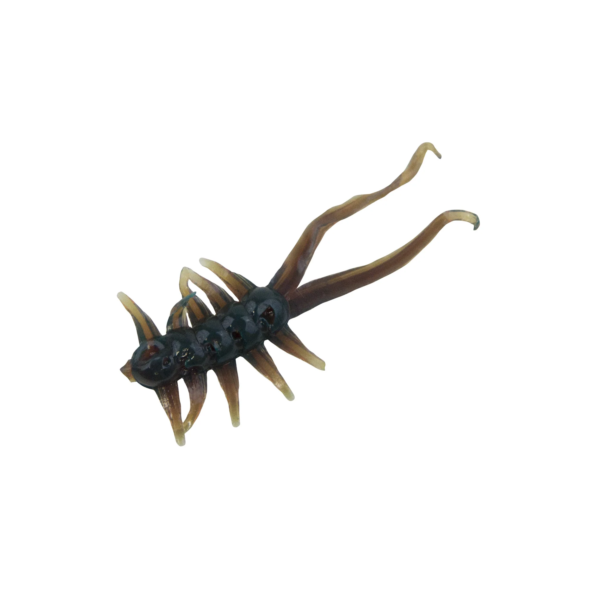 Clam Jamei - Image 3