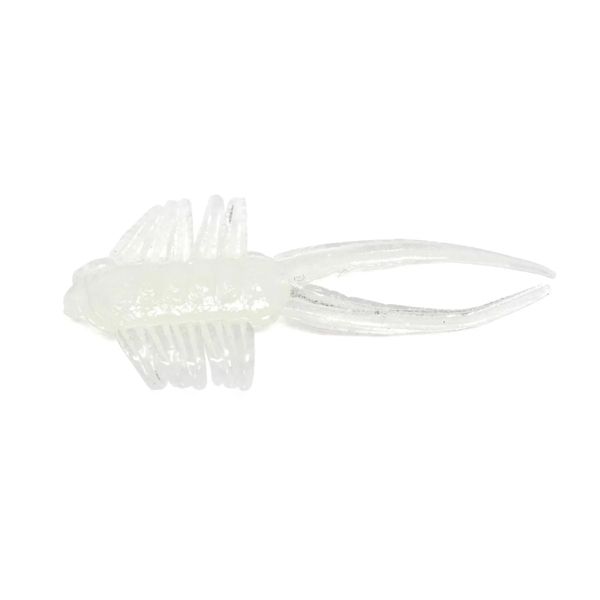 Clam Jamei - Image 7