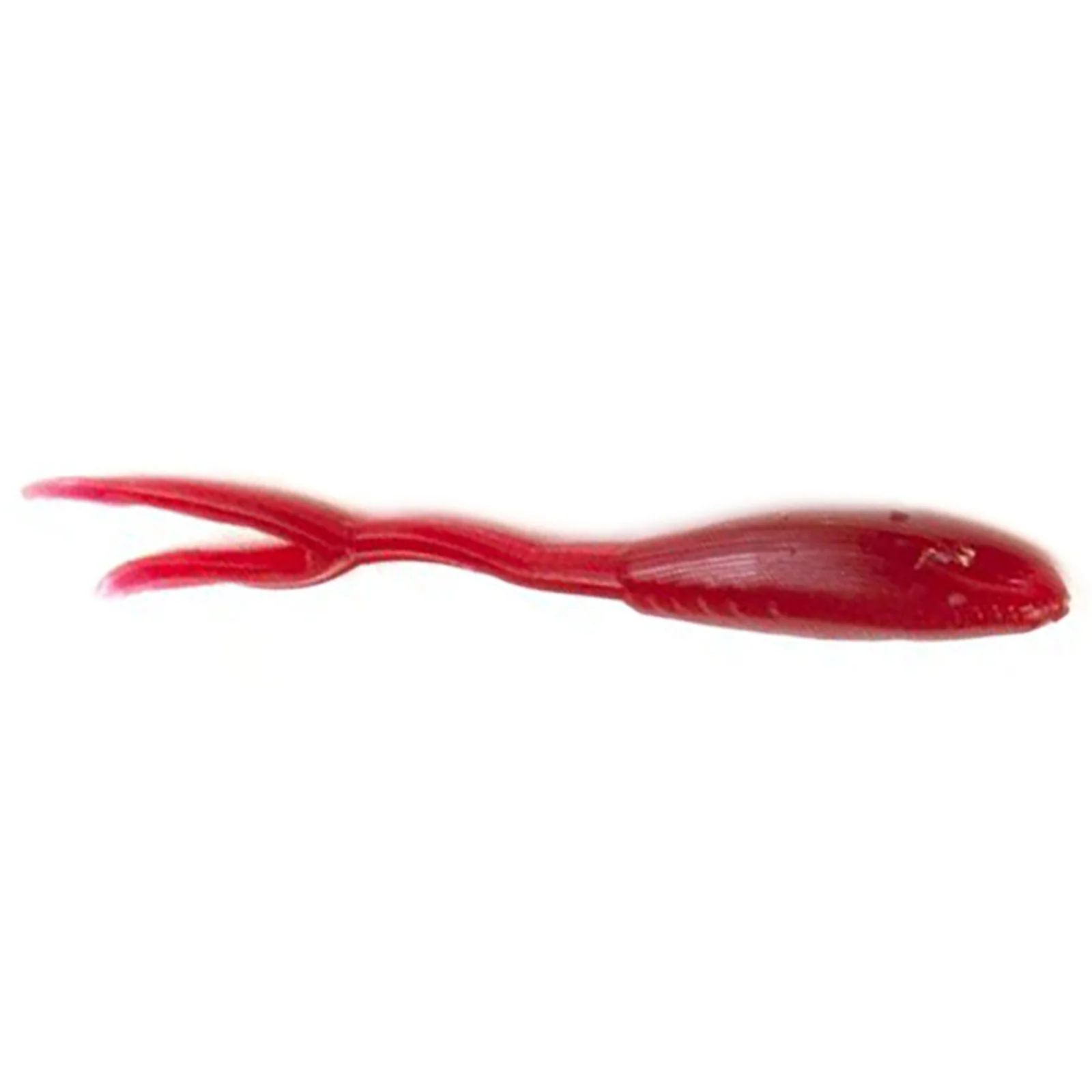 Clam Mino - Image 2