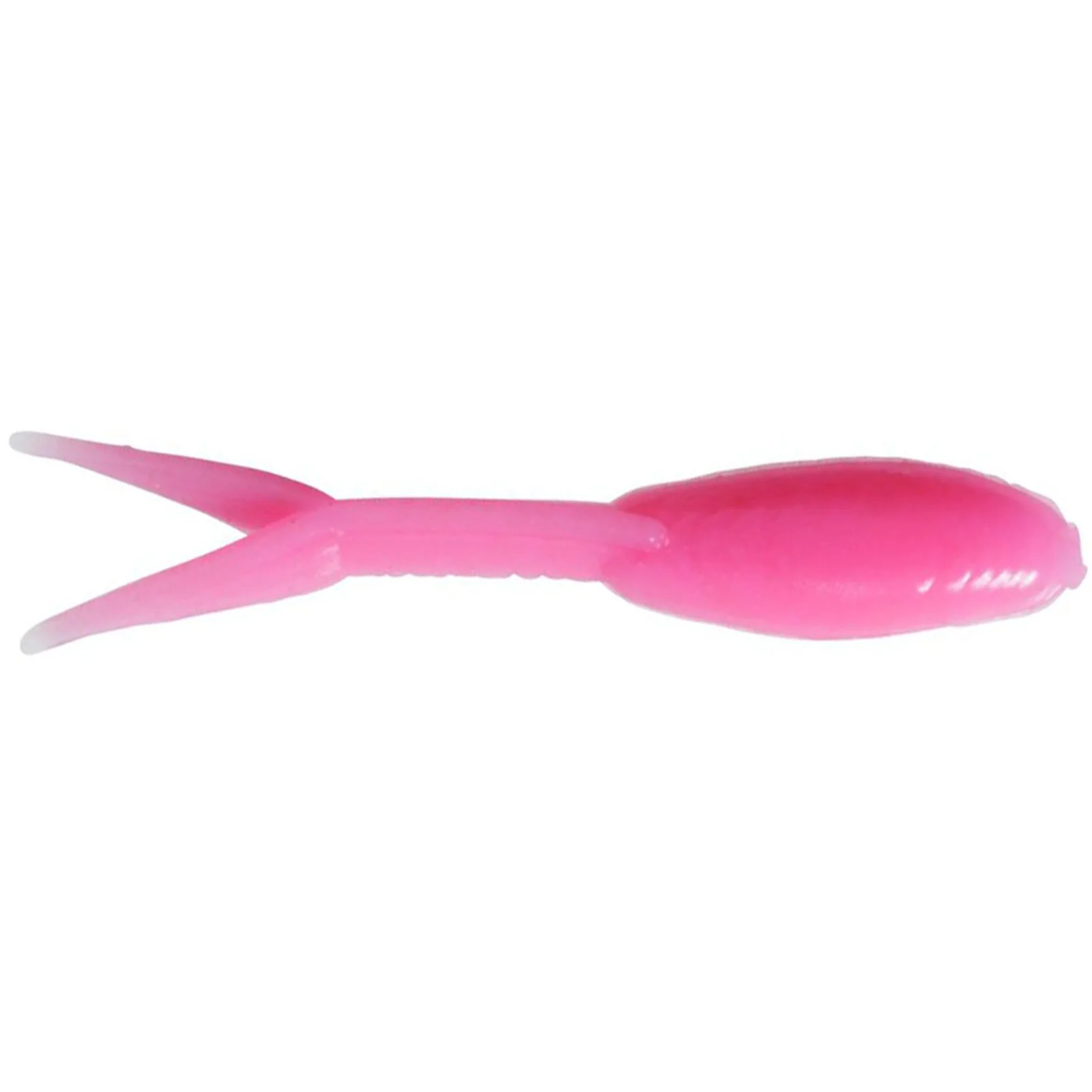 Clam Mino - Image 3