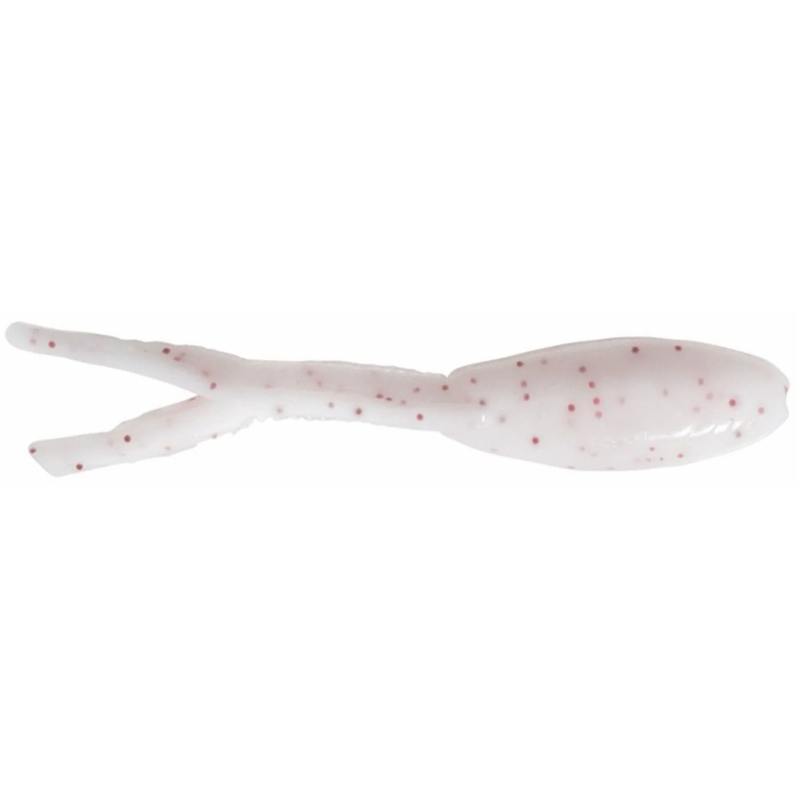 Clam Mino - Image 6