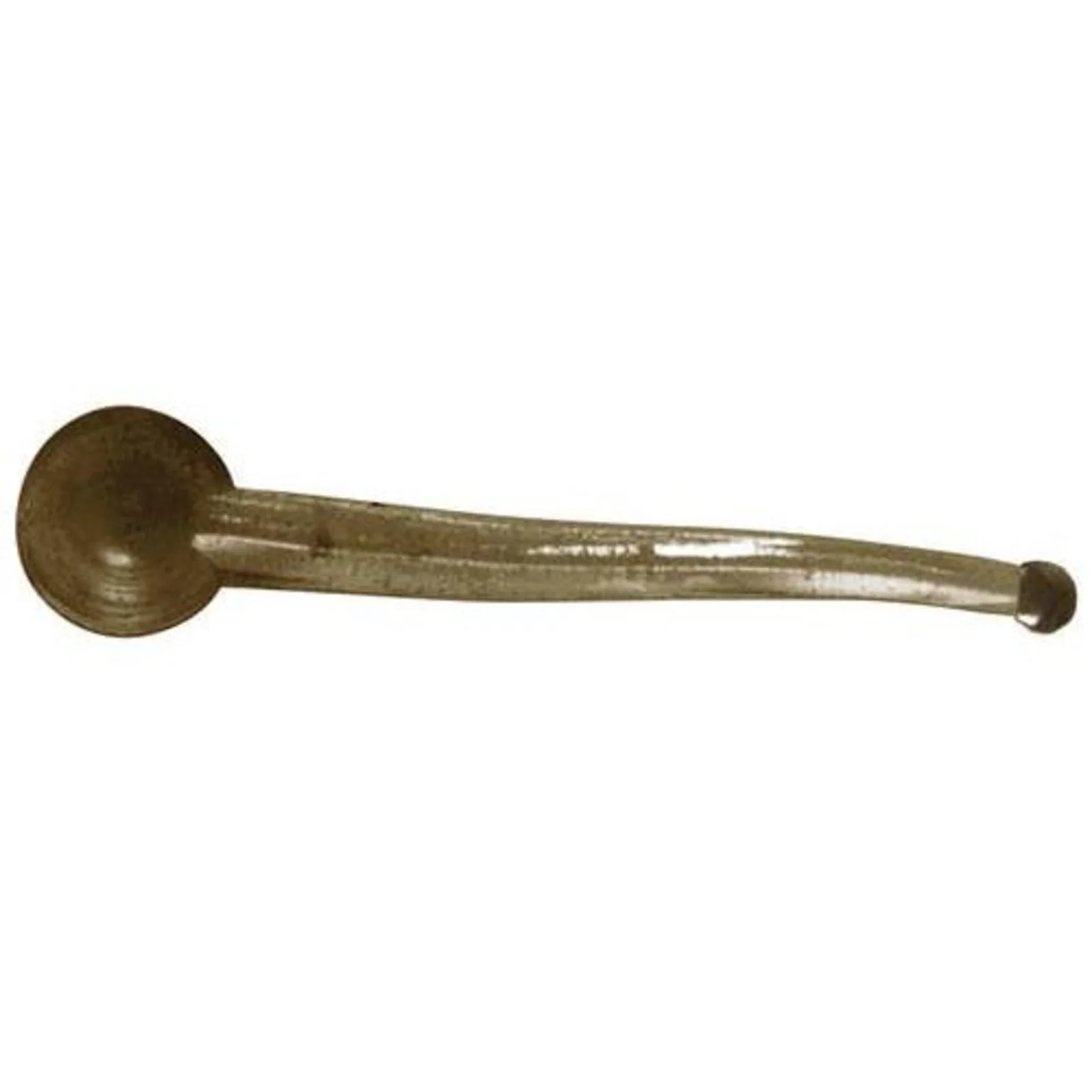 Clam Polli - Image 2
