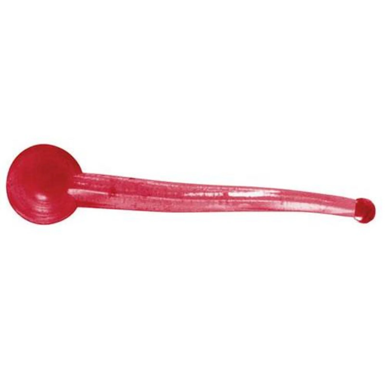 Clam Polli - Image 4