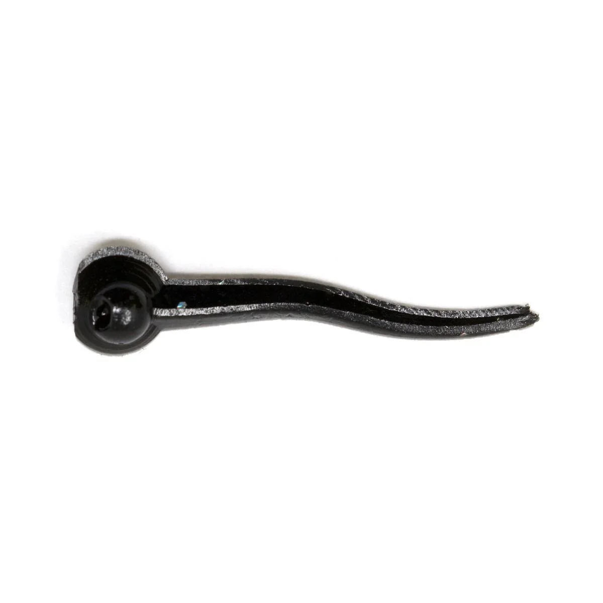 Clam Polli - Image 7