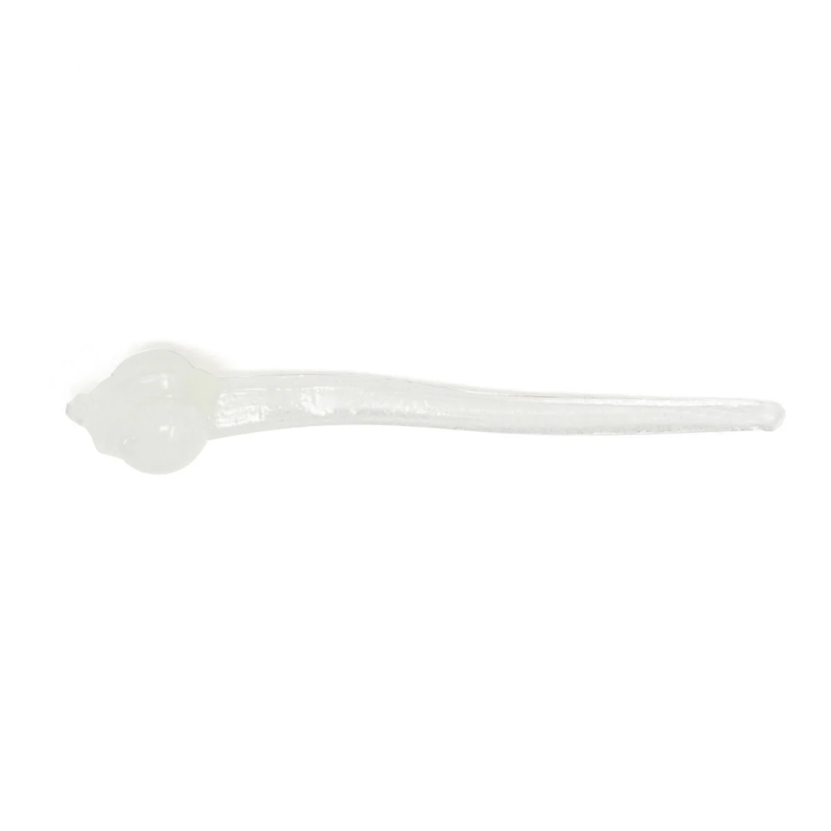 Clam Polli - Image 8