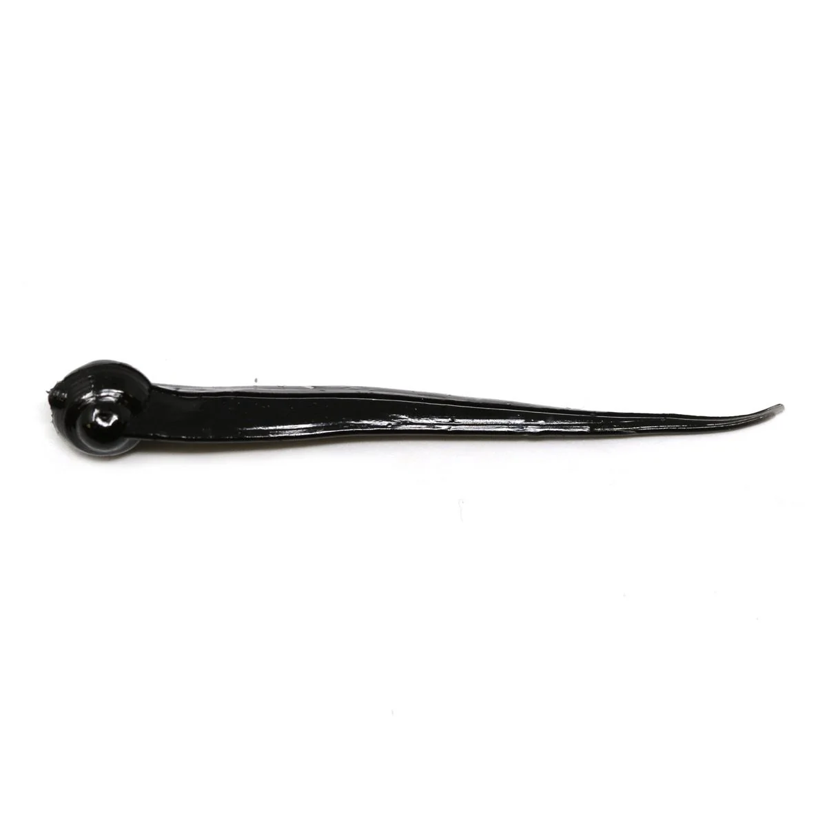 Clam Polli XL - Image 3
