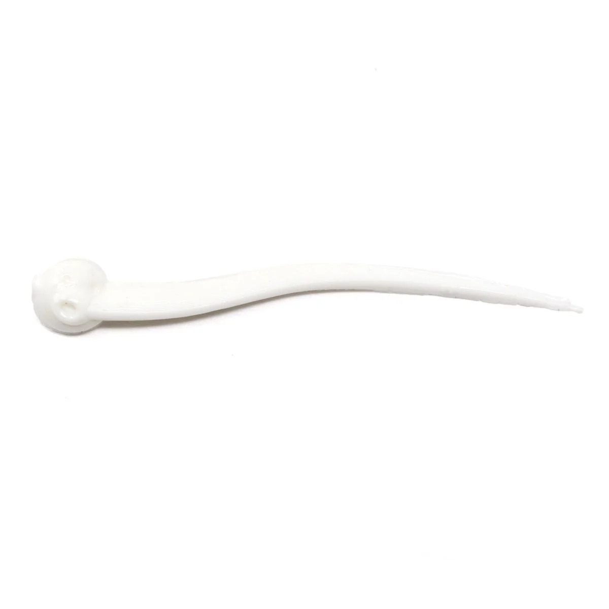 Clam Polli XL - Image 4