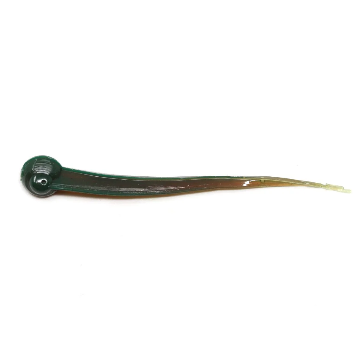 Clam Polli XL - Image 6