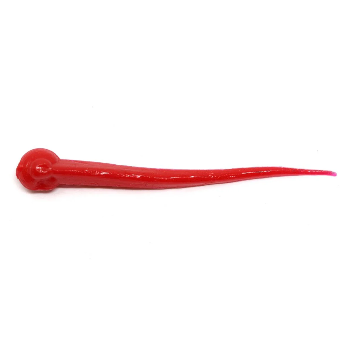 Clam Polli XL - Image 8