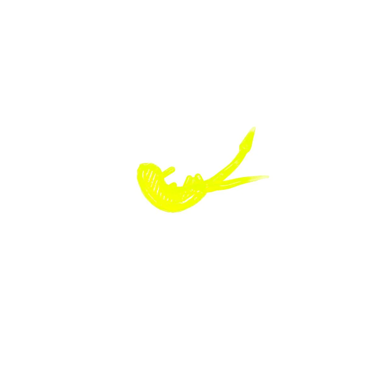 Clam Scudi XL - Image 2