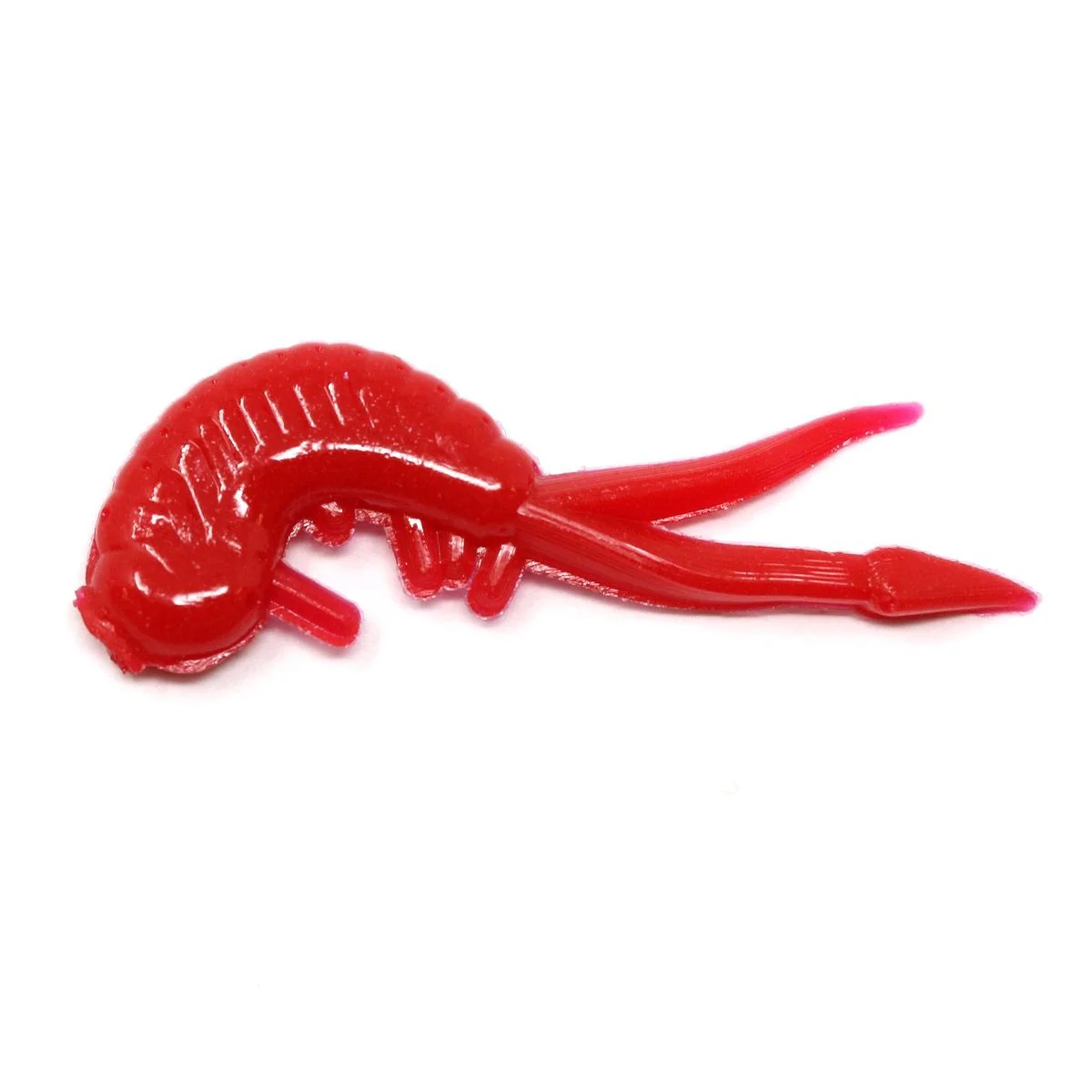 Clam Scudi XL - Image 8