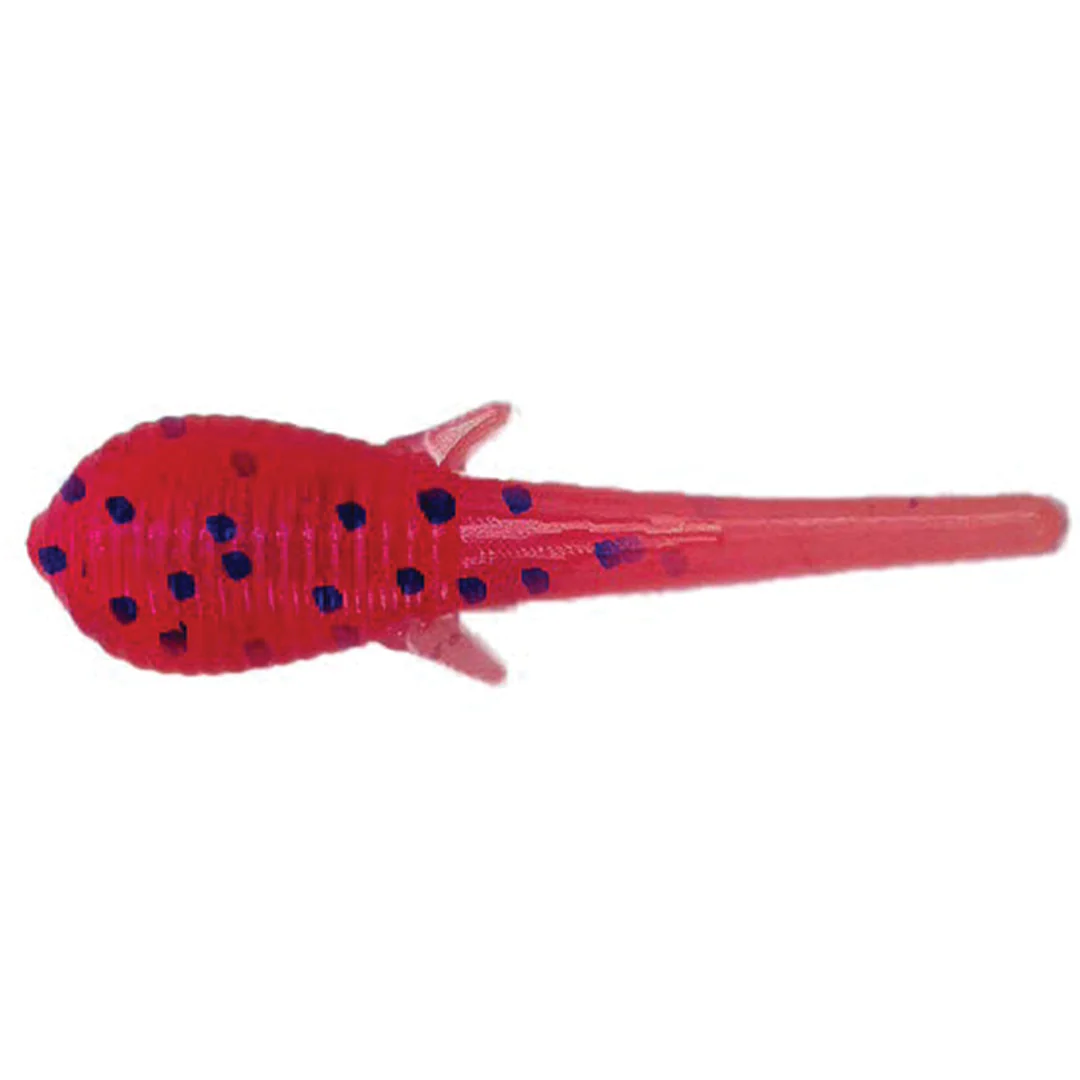 Clam Niku Soldier Fly - Image 9