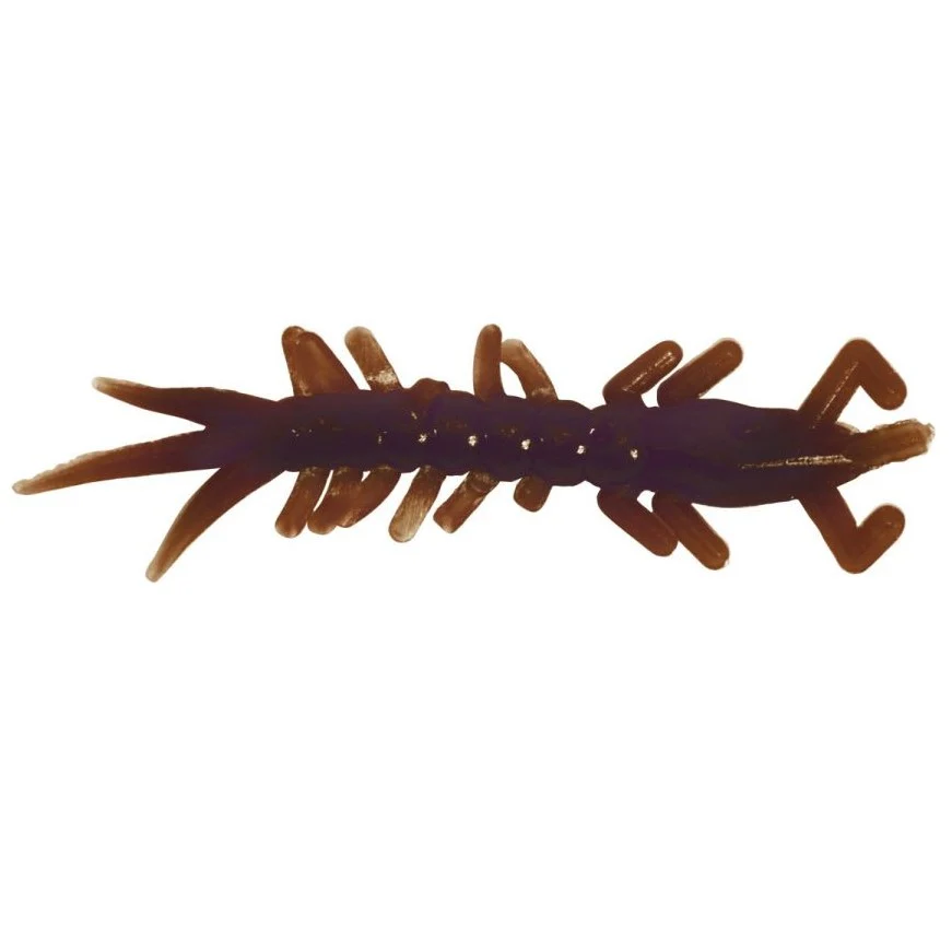 Clam Wammi - Image 3