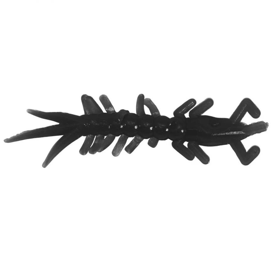 Clam Wammi - Image 6
