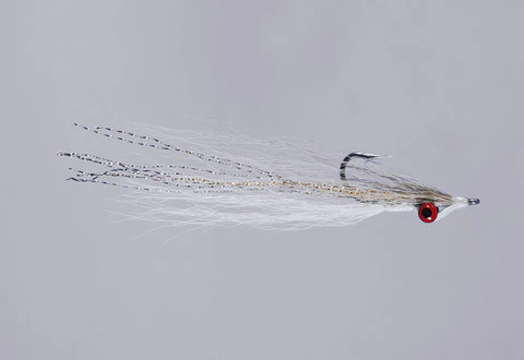 Clouser Minnow - Image 2