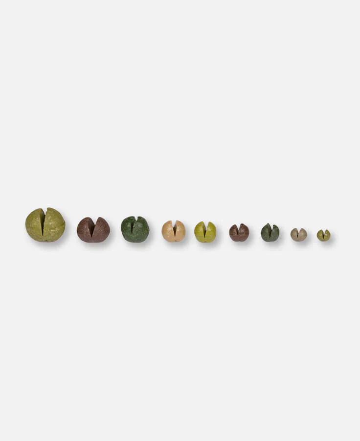 Loon Camo Drops - Image 2