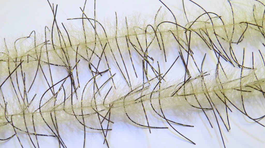 Lively Legs Crustacean Brush - Image 3