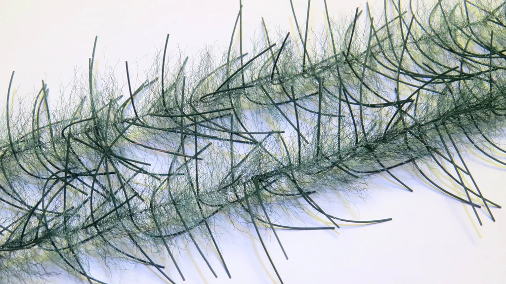 Lively Legs Crustacean Brush - Image 6