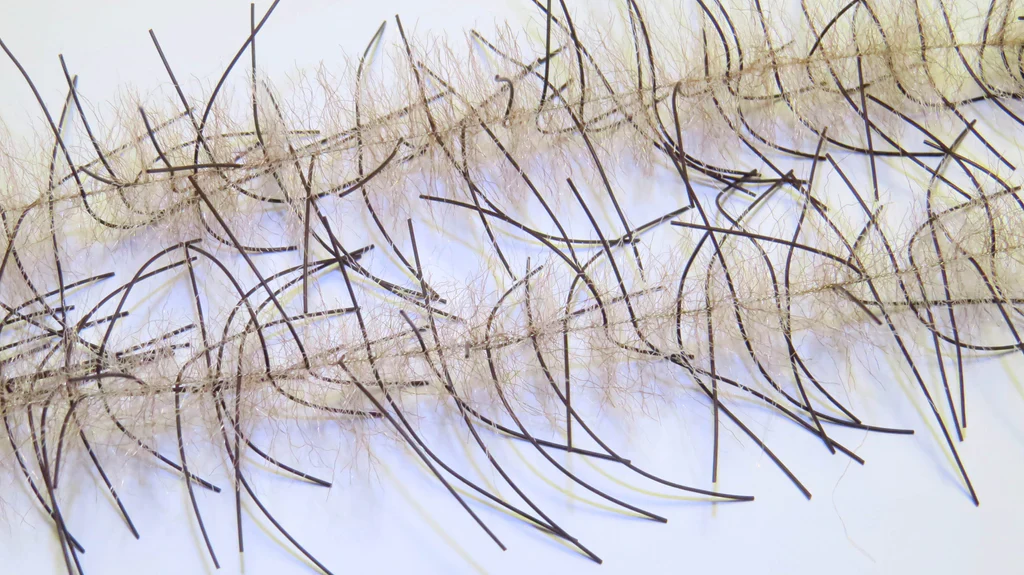 Lively Legs Crustacean Brush - Image 9