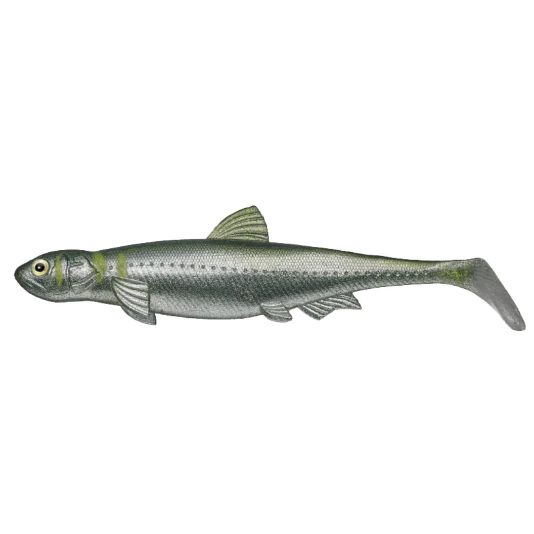 Evergreen Last Ace 140 (Line-Thru) - Image 2