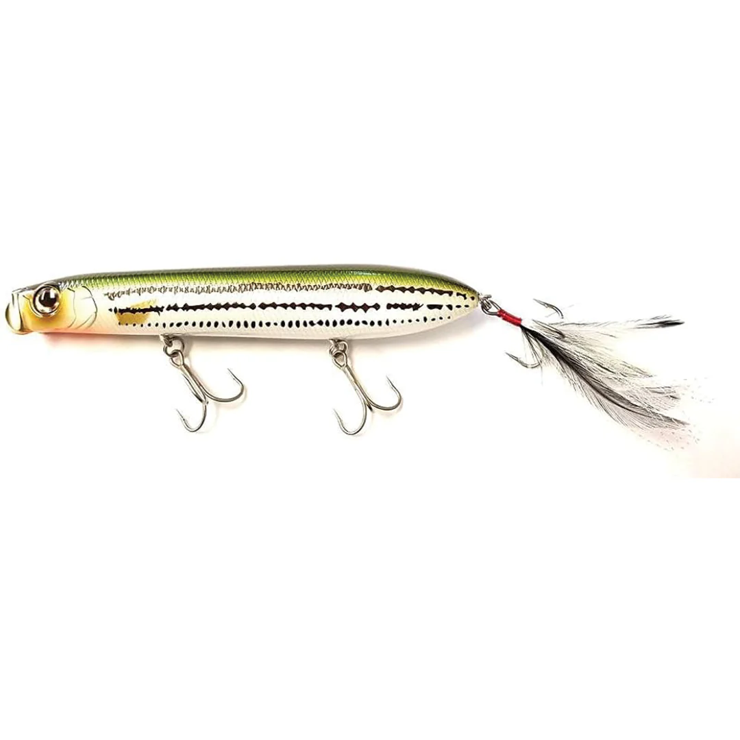 Evergreen SB - Image 15