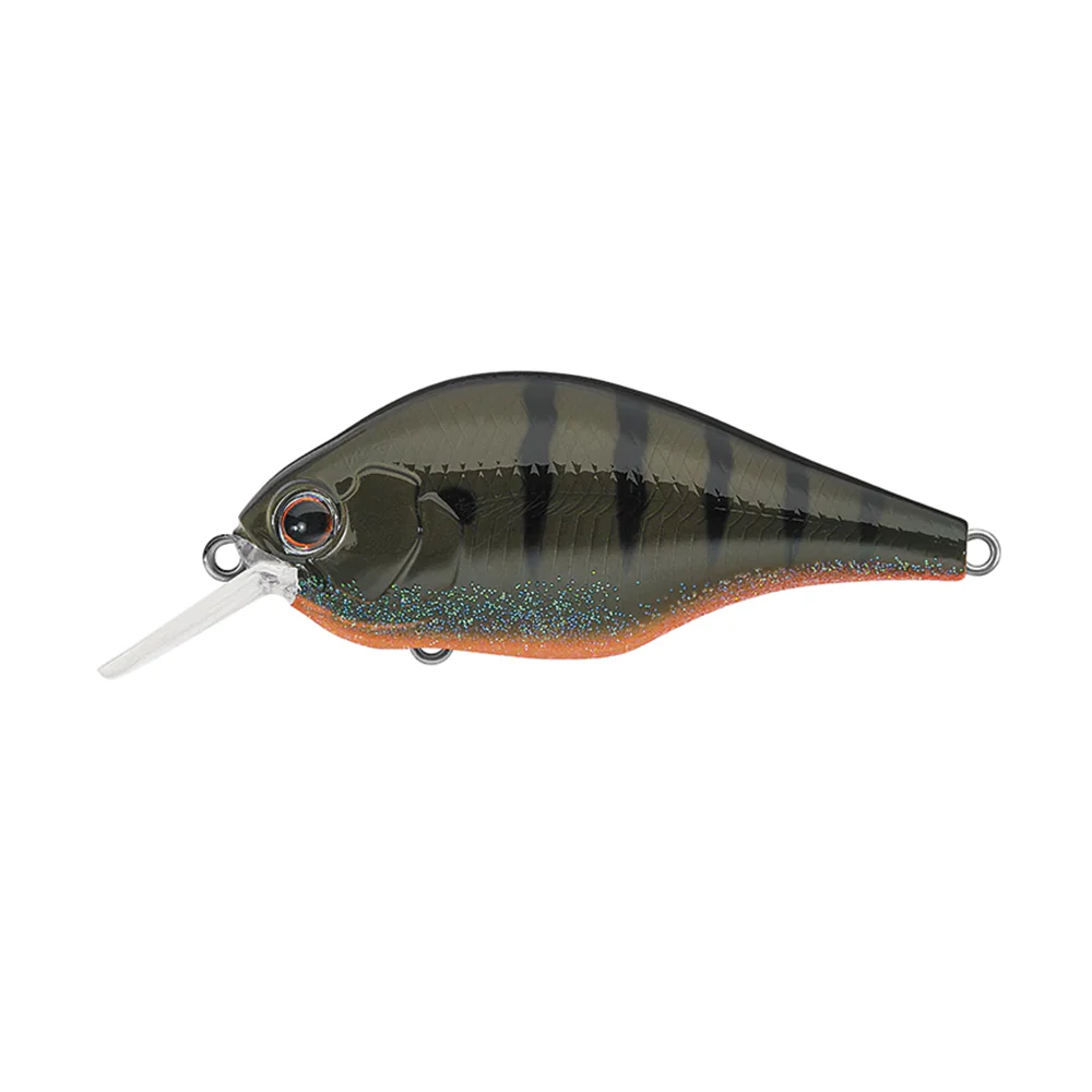 Evergreen ZR-4 - Image 6