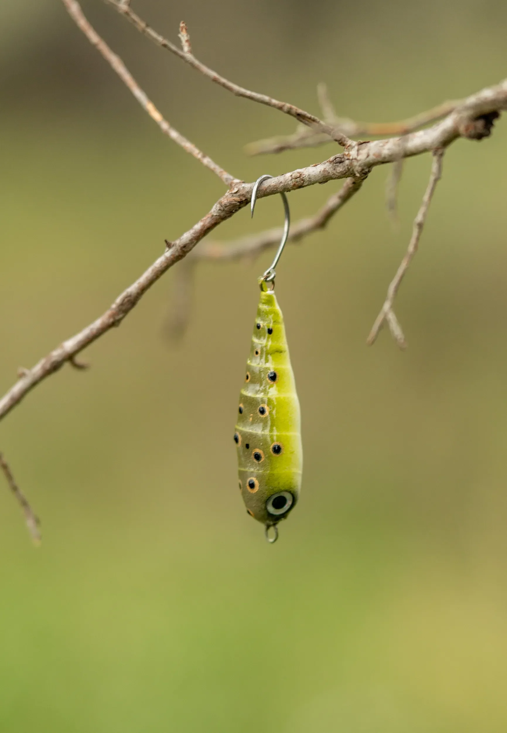 Fish Chase Flies Spiral Spook - Image 2