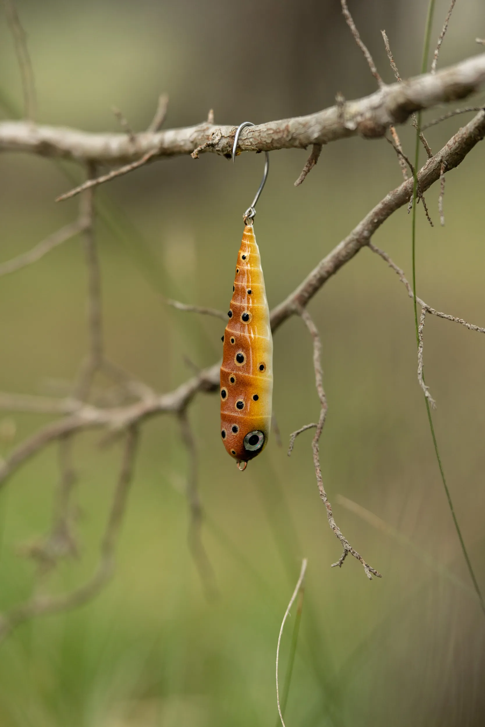 Fish Chase Flies Spiral Spook - Image 3