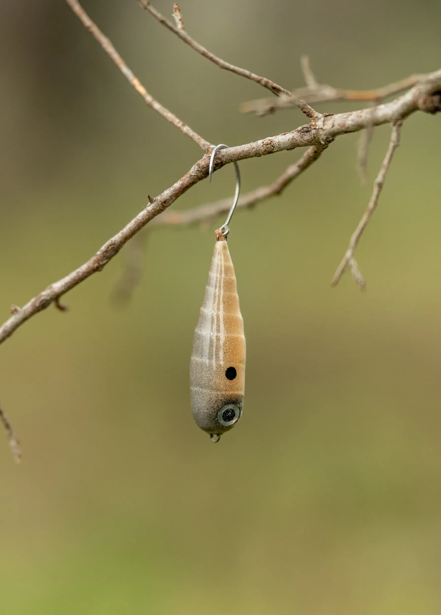 Fish Chase Flies Spiral Spook - Image 5