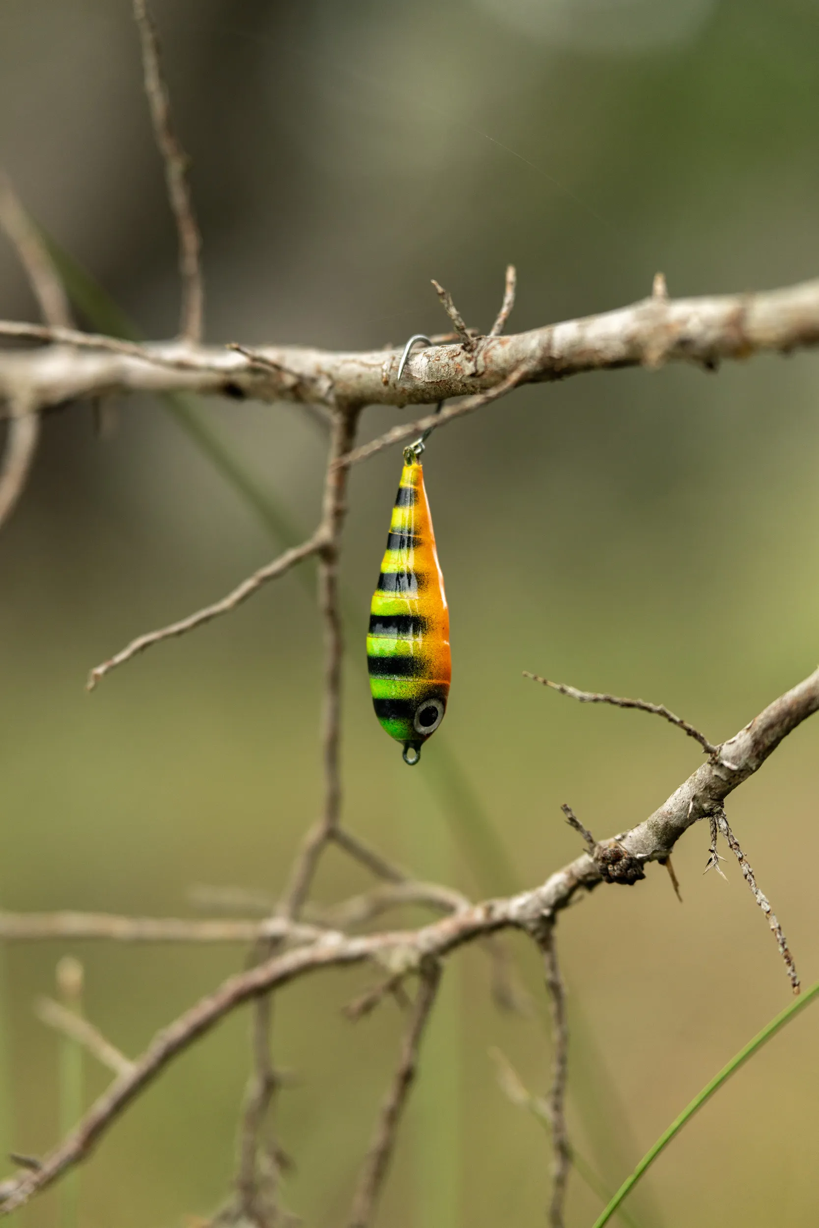 Fish Chase Flies Spiral Spook - Image 6
