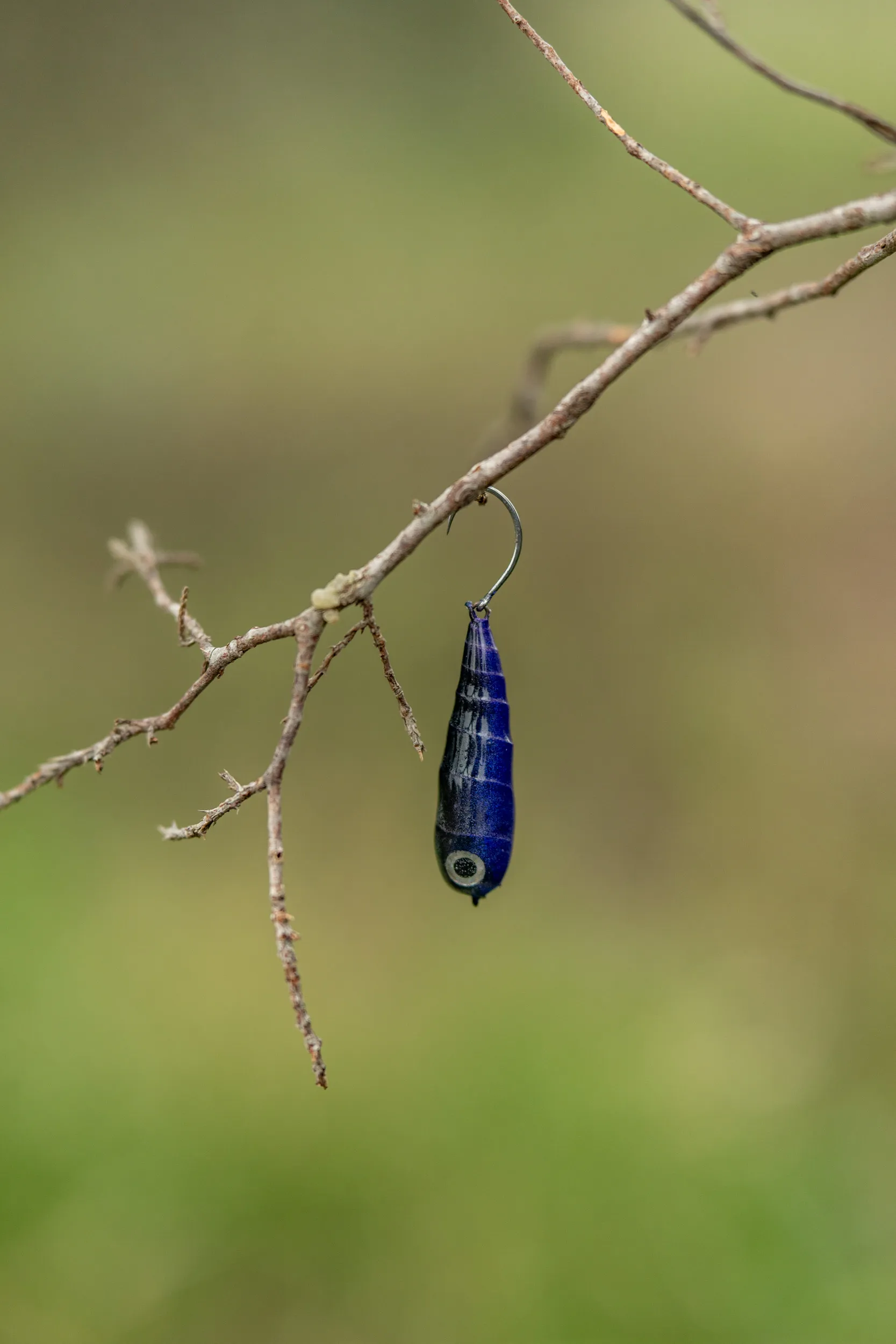 Fish Chase Flies Spiral Spook - Image 8