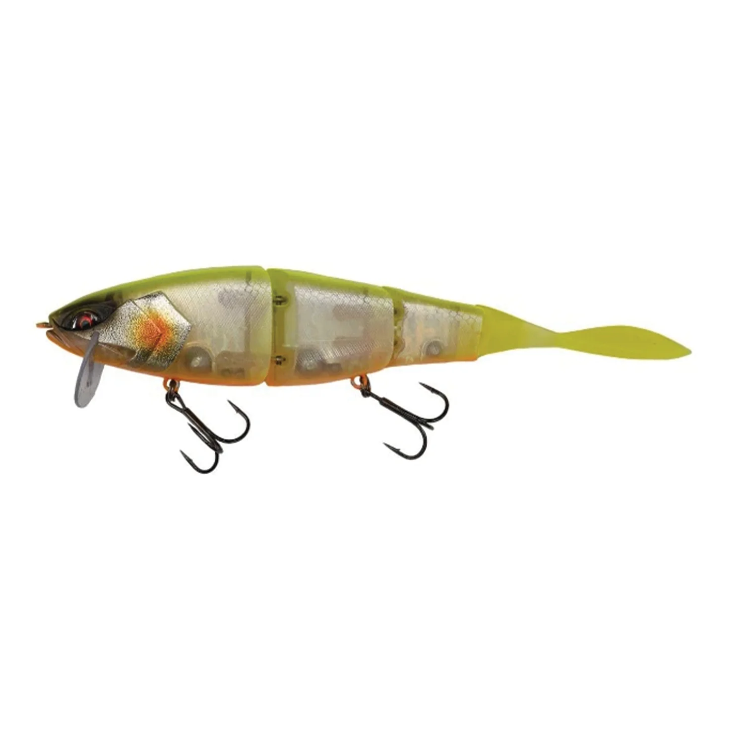 Galápagos Grace 210L - Image 7