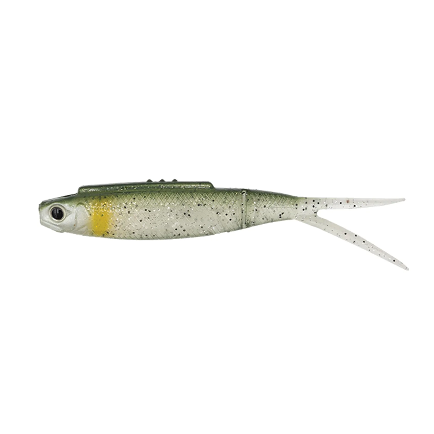 Galápagos Highroll - Image 2