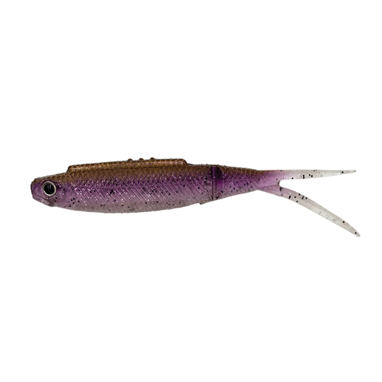 Galápagos Highroll - Image 5