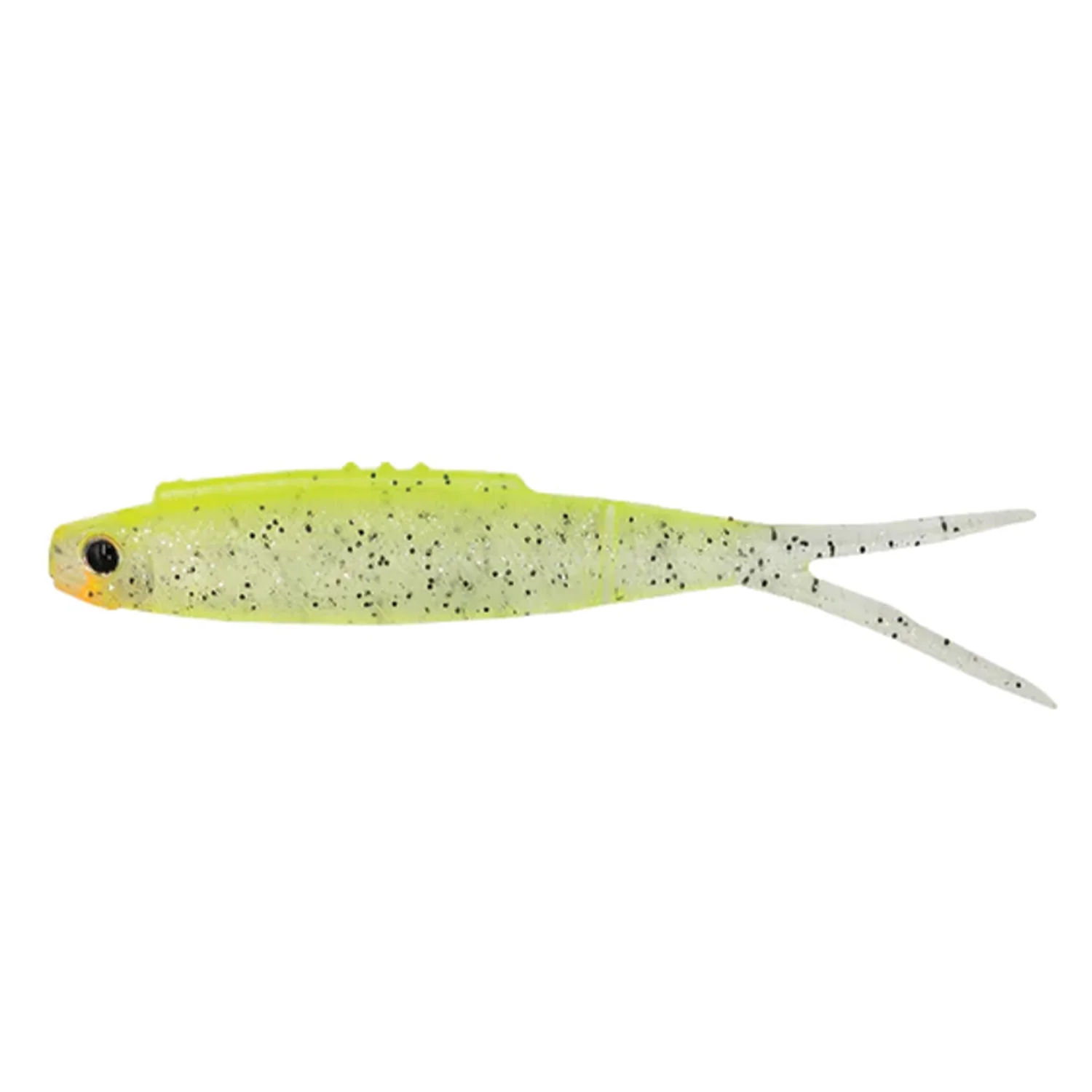 Galápagos Highroll - Image 6