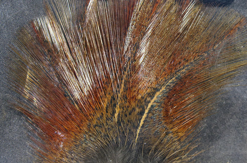 Hareline Coq De Leon Feathers - Image 3