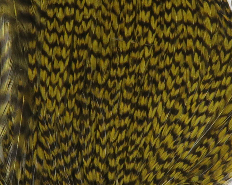 Hareline Dry Fly Neck Chunks - Image 4