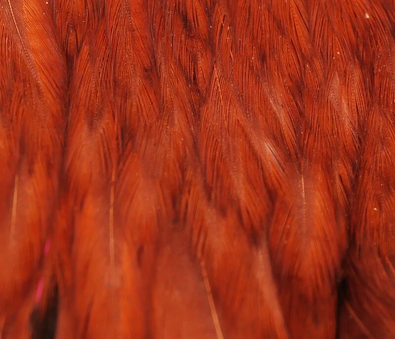 Hareline Hen Cape - Image 2
