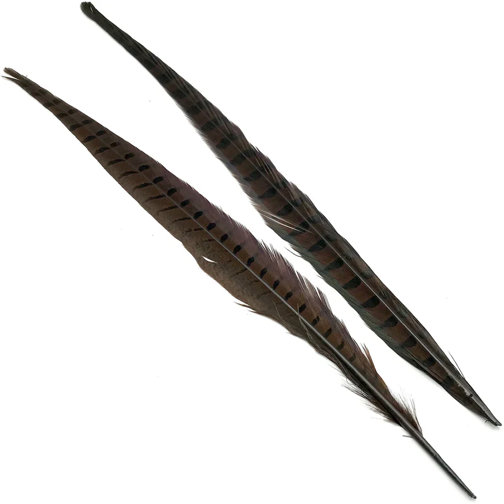 Hareline Ringneck Pheasant Tails - Image 10