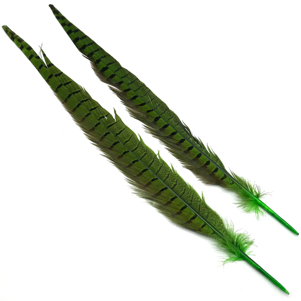 Hareline Ringneck Pheasant Tails - Image 4
