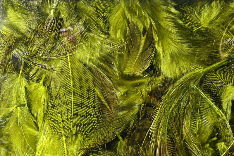 Hareline Premium Hungarian Partridge Feathers - Image 2