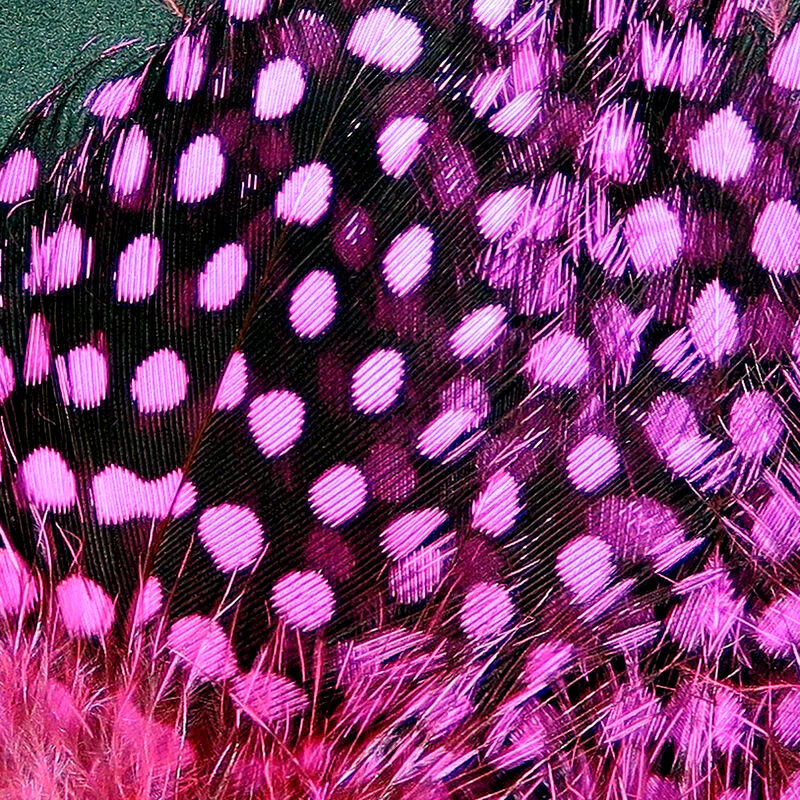 Hareline Strung Guinea Feathers - Image 3
